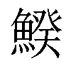 𩹍汉字