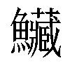 𩽮汉字