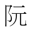 阮汉字